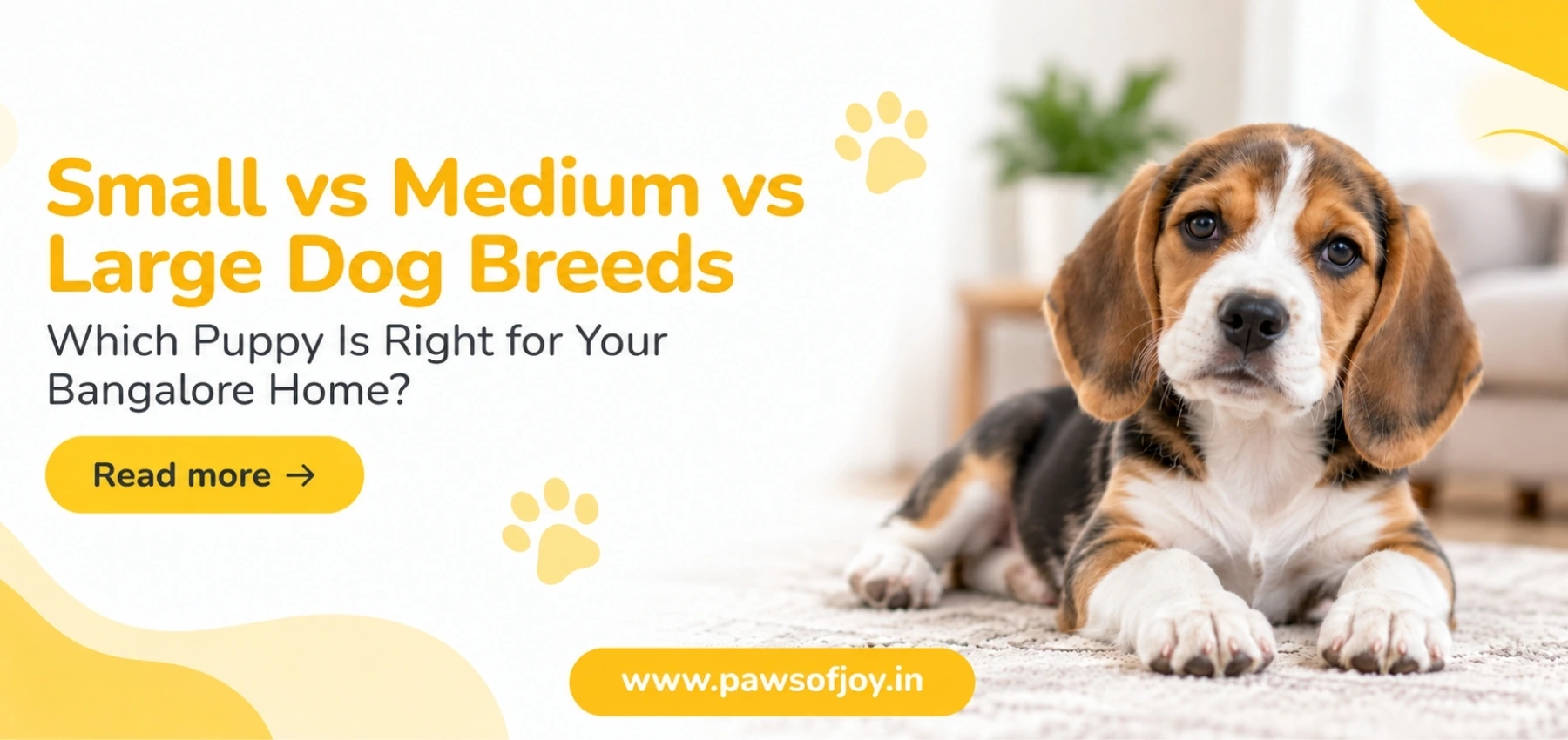 Small vs Medium vs Large Dog Breeds: Which Puppy Is Right for Your Bangalore Home?