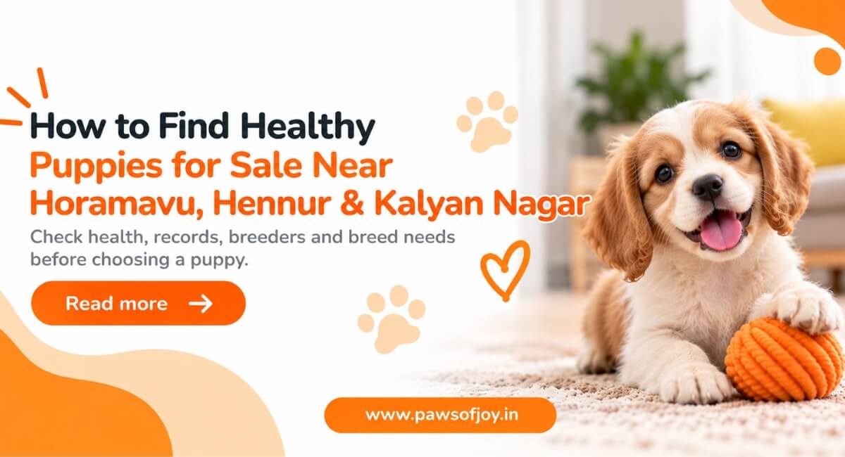 How to Find Healthy Puppies for Sale Near Horamavu, Hennur & Kalyan Nagar