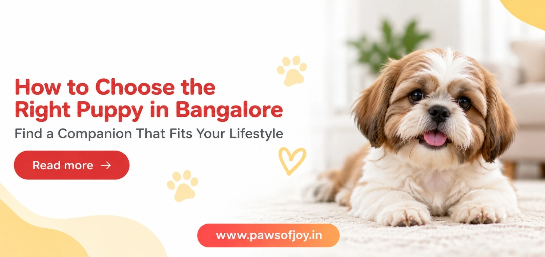 How to Choose the Right Puppy in Bangalore Based on Your Lifestyle