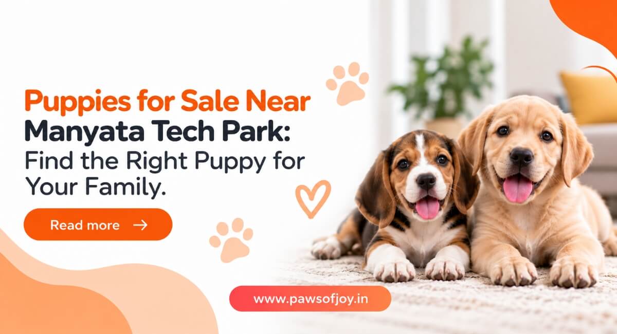 Puppies for Sale Near Manyata Tech Park: Find the Right Puppy for Your Family