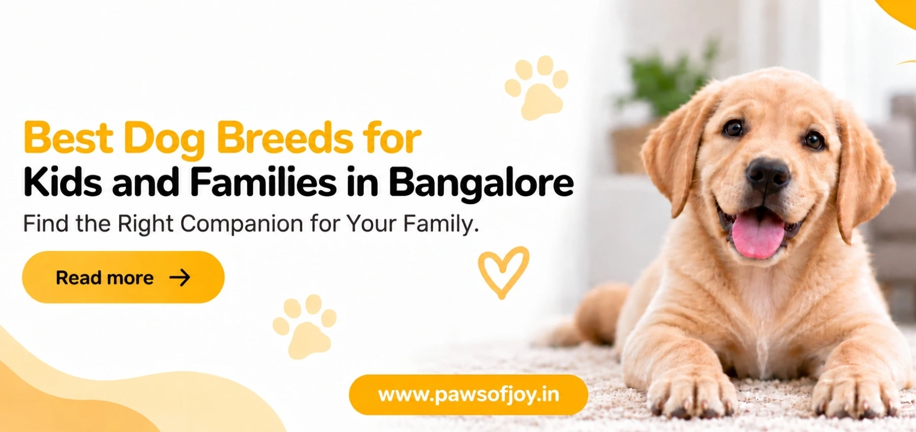 Best Dog Breeds for Kids and Families in Bangalore