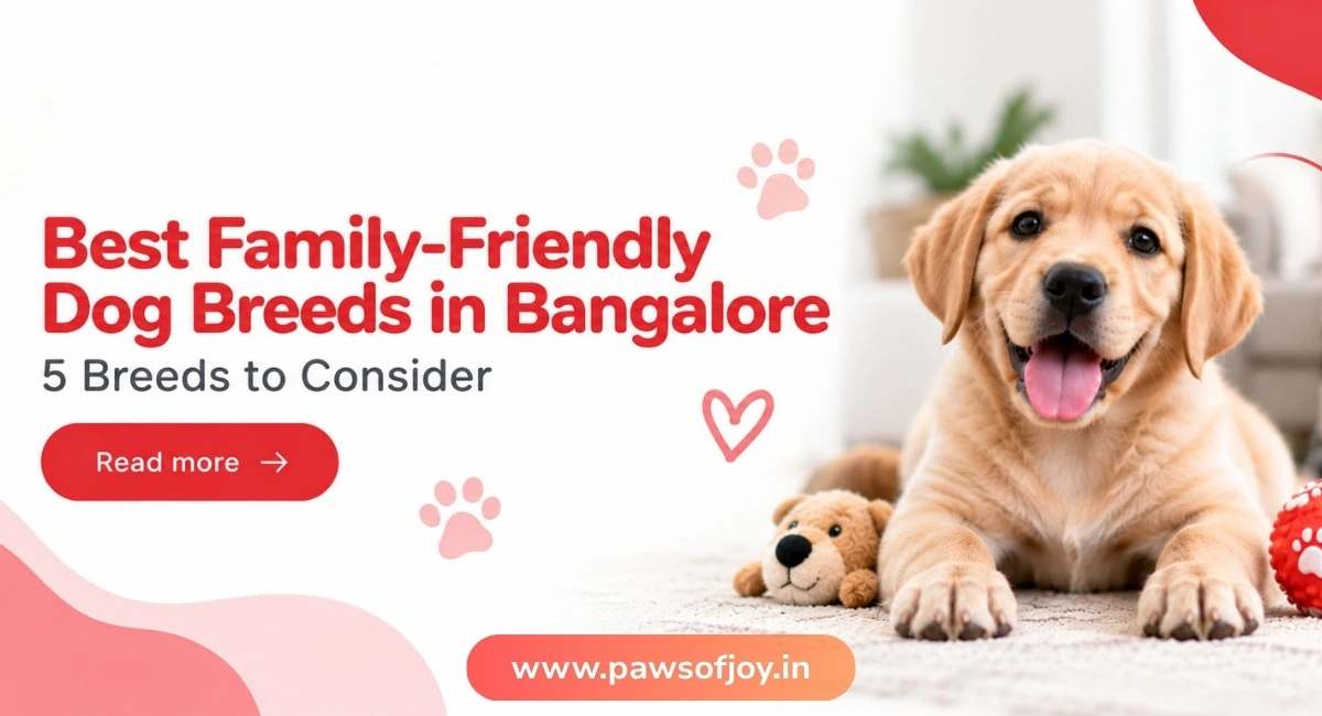 Best Family-Friendly Dog Breeds in Bangalore: 5 Breeds to Consider